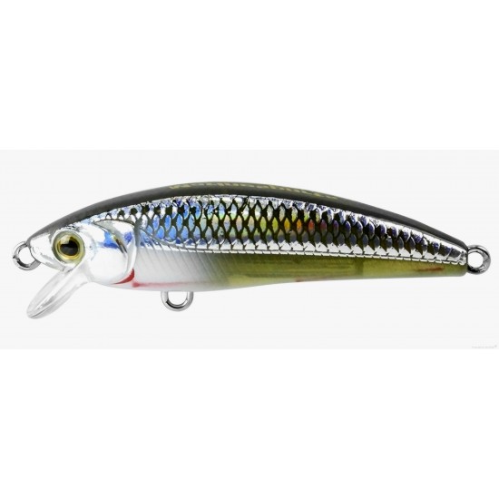 Isca Marine Sports Inna Pro Tuned 60
