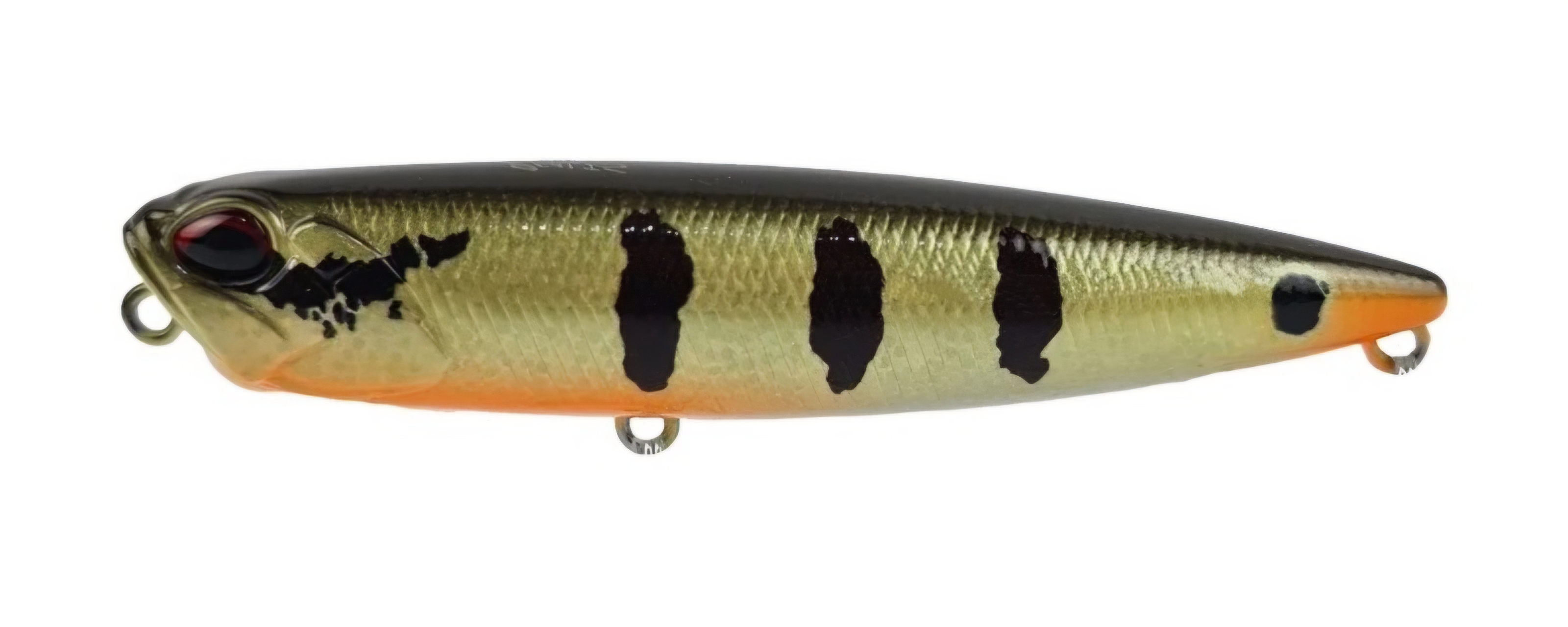 Peacock Bass 