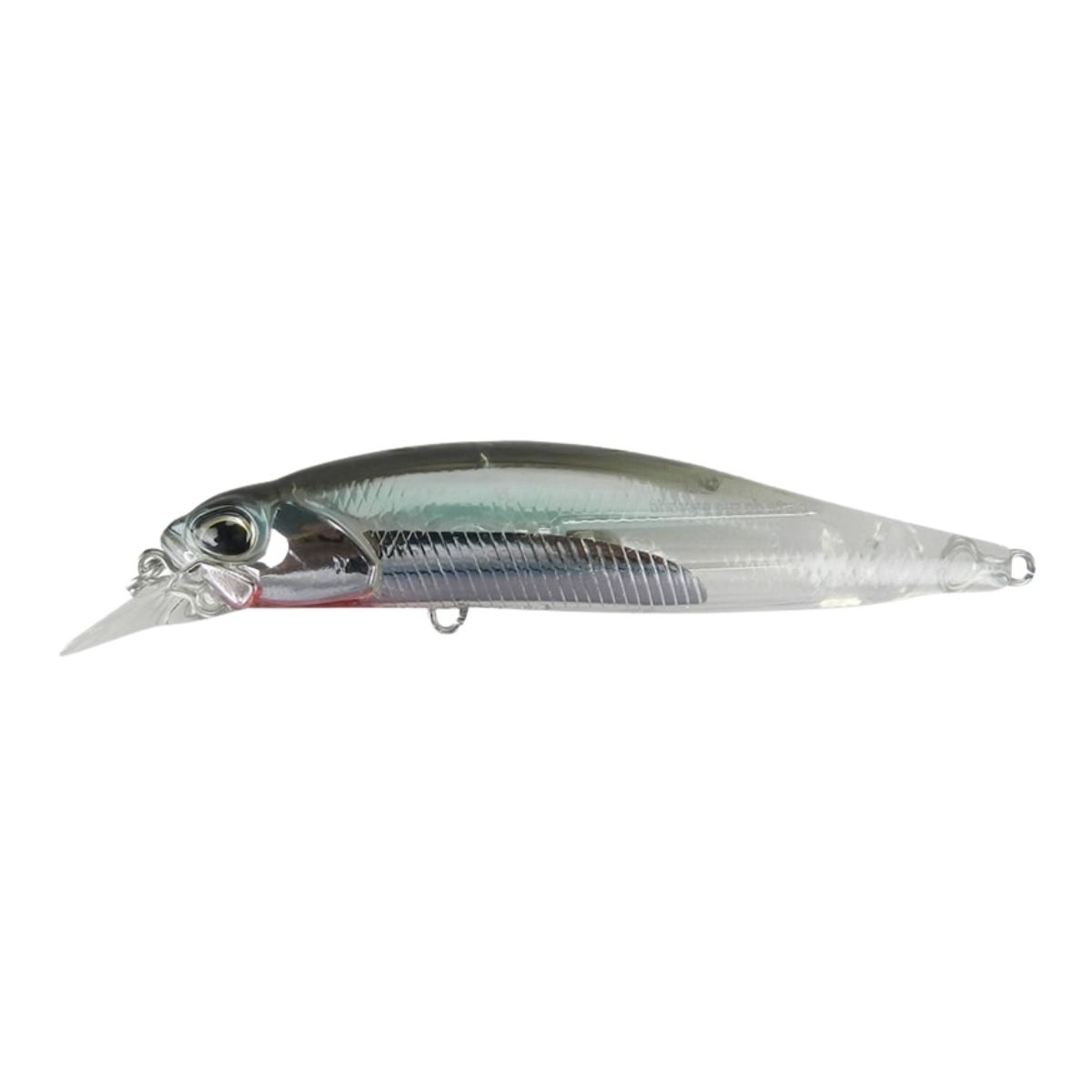 Fish Jr. 