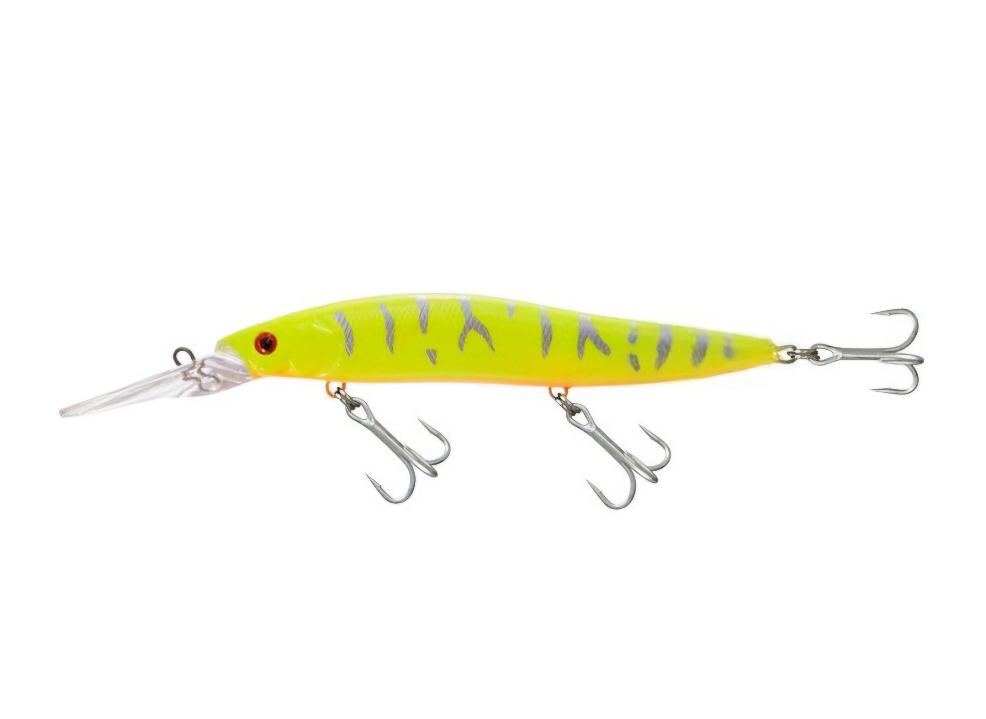 Isca Lori LoriMais 95