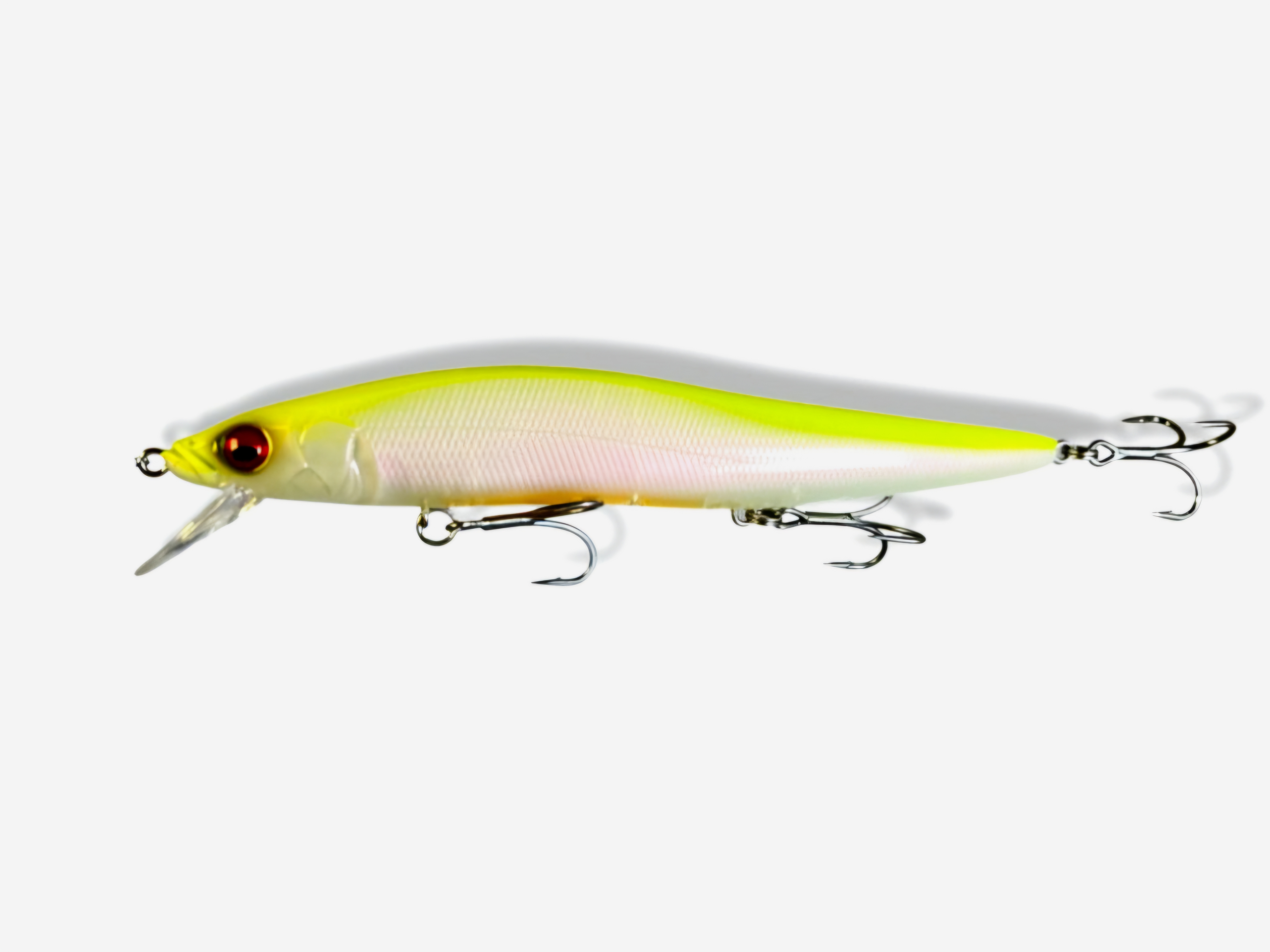 PM Hot Shad 