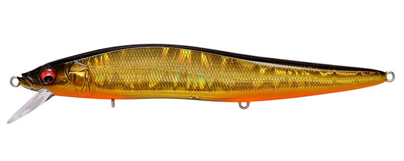 GG Megabass Kinkuro 