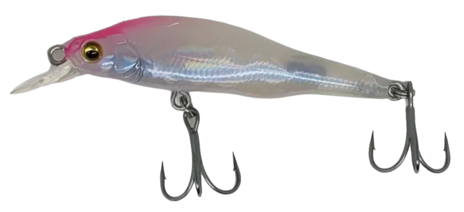 Shell Skin Pink 