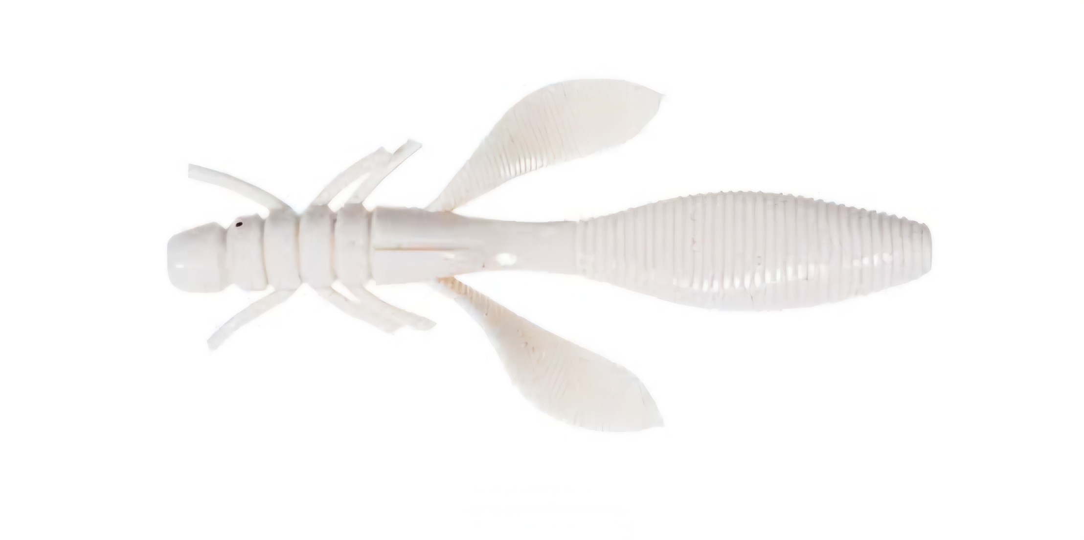 Grub White 