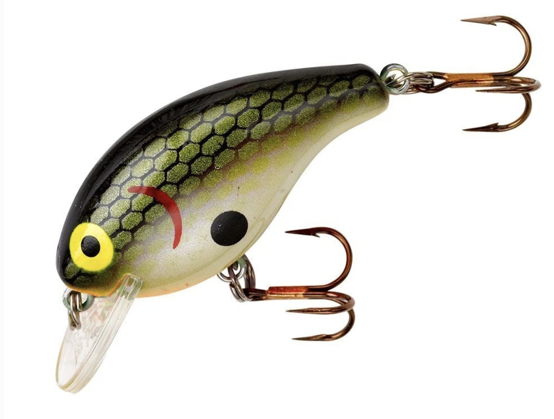 Tennessee Shad 